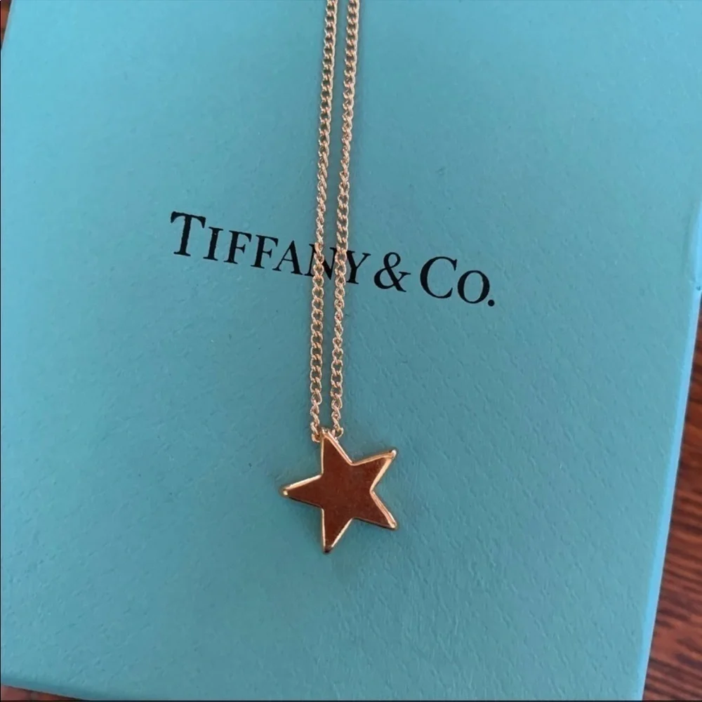 Nwt Dainty Gold Star Chain Choker Necklace